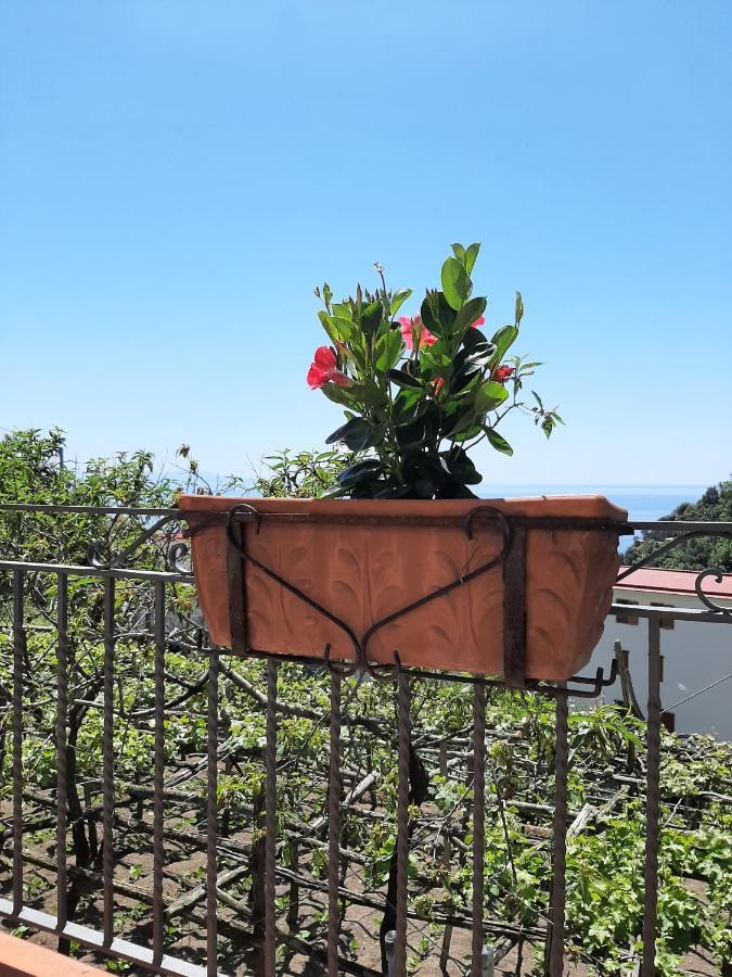 Casa Almary Apartman Amalfi Kültér fotó